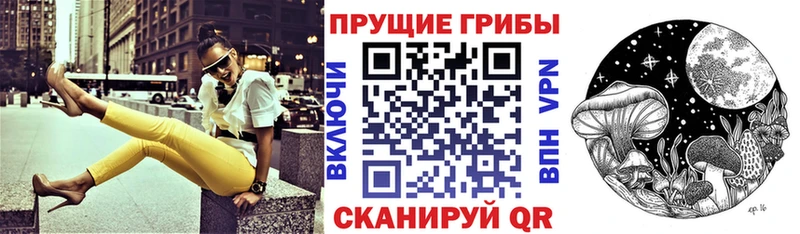 как найти закладки  Медынь  Галлюциногенные грибы Psilocybe 